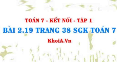 Bài 2.19 trang 38 SGK Toán 7 tập 1 Kết nối tri thức
